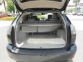  2005 RX 330 Trunk