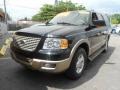 2003 Black Clearcoat Ford Expedition Eddie Bauer  photo #3