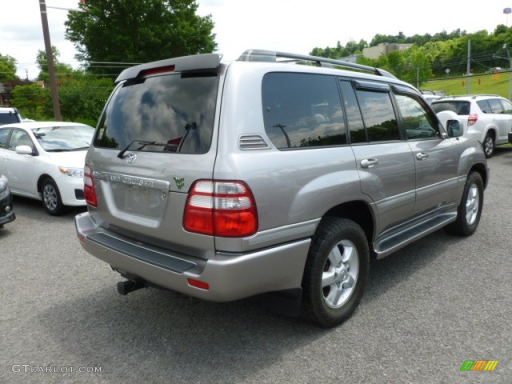 2005 Land Cruiser  - Thunder Cloud Metallic / Stone photo #4