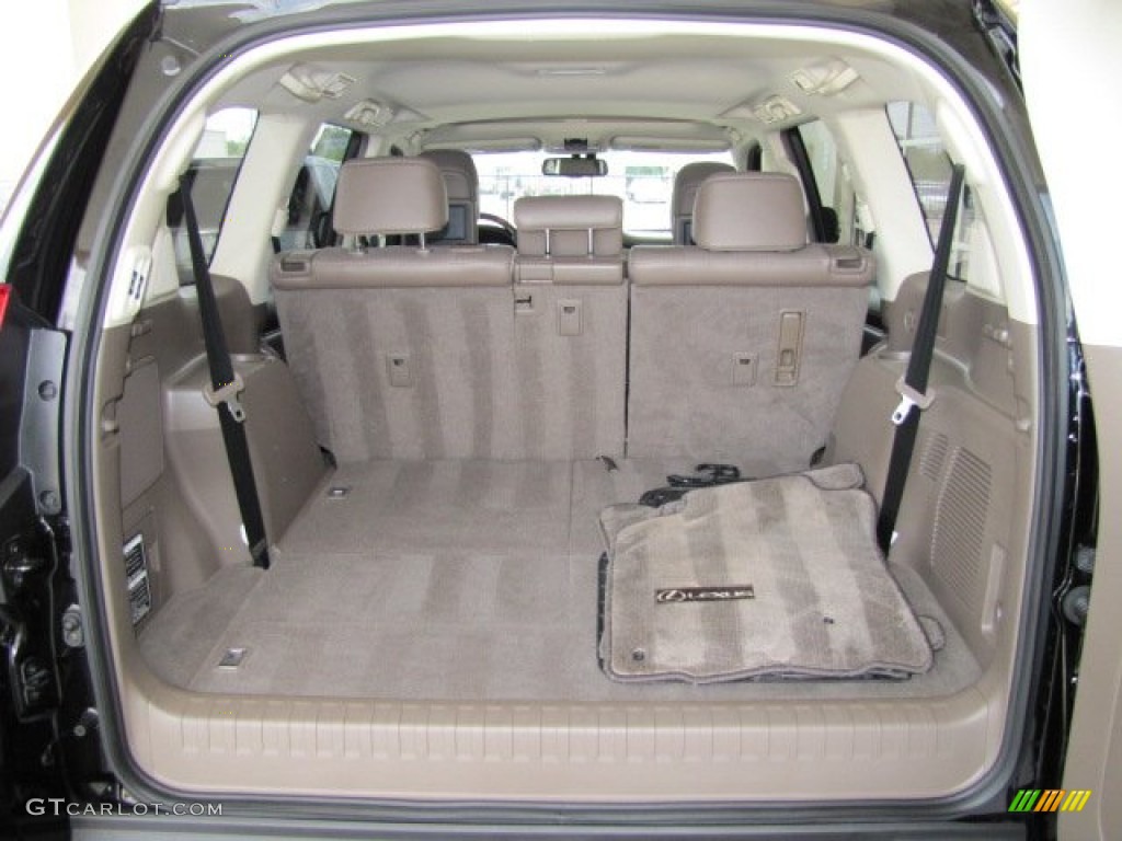 2010 Lexus GX 460 Trunk Photo #66108537