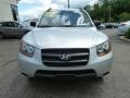 Bright Silver - Santa Fe GLS 4WD Photo No. 7