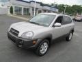 2006 Sahara Silver Hyundai Tucson GLS V6  photo #5