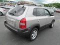Sahara Silver - Tucson GLS V6 Photo No. 10