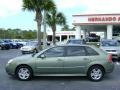 2006 Silver Green Metallic Chevrolet Malibu Maxx LT Wagon  photo #2