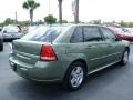 2006 Silver Green Metallic Chevrolet Malibu Maxx LT Wagon  photo #5