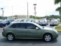 2006 Silver Green Metallic Chevrolet Malibu Maxx LT Wagon  photo #6