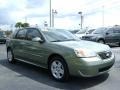 2006 Silver Green Metallic Chevrolet Malibu Maxx LT Wagon  photo #7