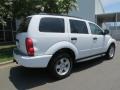 2004 Bright White Dodge Durango SLT 4x4  photo #27