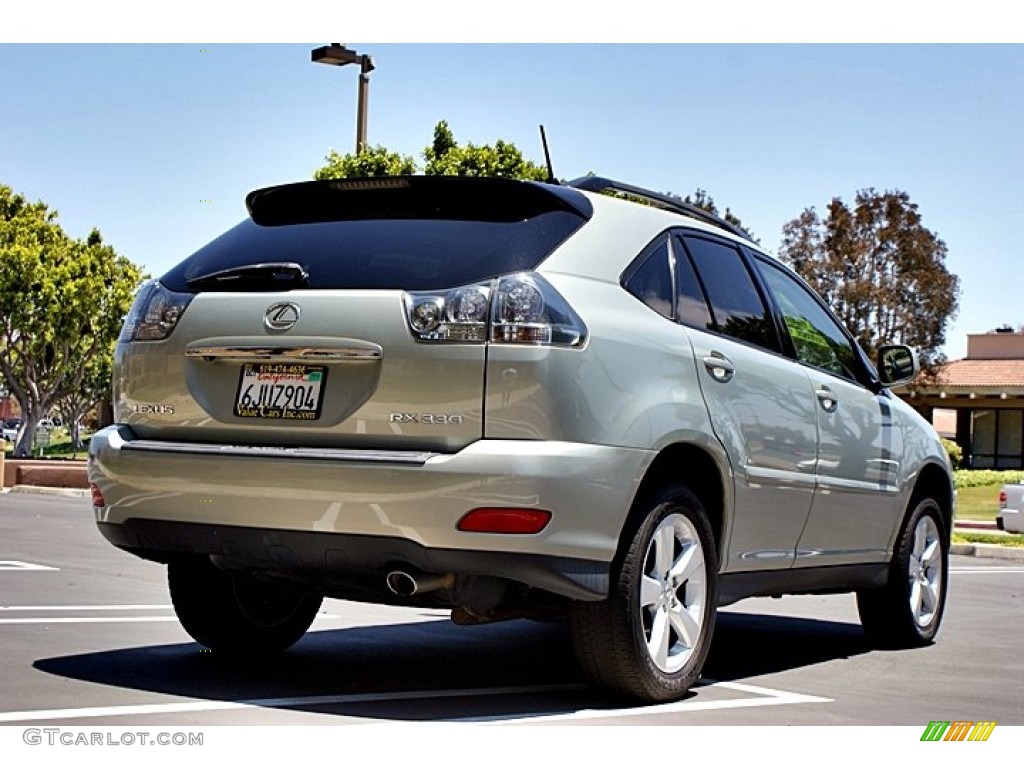 2005 RX 330 AWD Thundercloud Edition - Bamboo Pearl / Ivory photo #6