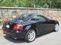 2009 Black Mercedes-Benz SLK 300 Roadster  photo #3