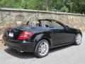 2009 Black Mercedes-Benz SLK 300 Roadster  photo #13