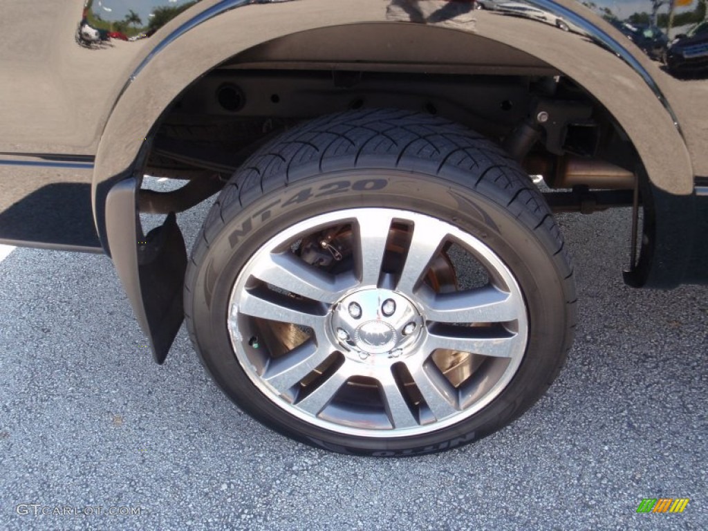 2007 Ford F150 Harley-Davidson SuperCrew 4x4 Wheel Photo #66124580