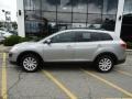 Liquid Silver Metallic - CX-9 Touring AWD Photo No. 8