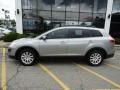 2010 Liquid Silver Metallic Mazda CX-9 Touring AWD  photo #8