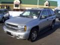 2007 Silverstone Metallic Chevrolet TrailBlazer LS 4x4  photo #1