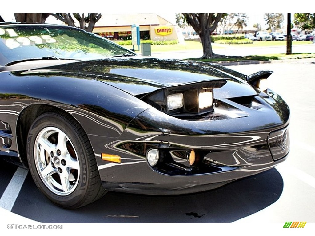 2001 Firebird Coupe - Black / Ebony photo #12