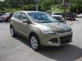 2013 Ginger Ale Metallic Ford Escape SEL 1.6L EcoBoost 4WD  photo #4