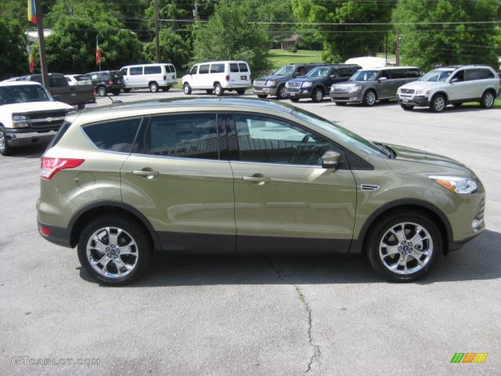Ginger Ale Metallic 2013 Ford Escape SEL 1.6L EcoBoost 4WD Exterior Photo #66134300