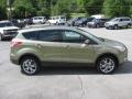 Ginger Ale Metallic 2013 Ford Escape SEL 1.6L EcoBoost 4WD Exterior