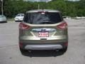 2013 Ginger Ale Metallic Ford Escape SEL 1.6L EcoBoost 4WD  photo #7