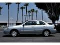 Molten Silver - Sentra GXE Photo No. 10