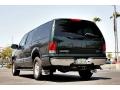 Aspen Green Metallic - Excursion XLT Photo No. 9