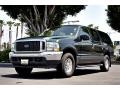 Aspen Green Metallic - Excursion XLT Photo No. 11
