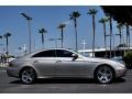 Pewter Metallic - CLS 500 Photo No. 5