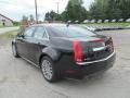 Black Raven - CTS 3.6 Sedan Photo No. 5