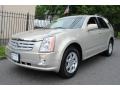 Gold Mist 2009 Cadillac SRX V6