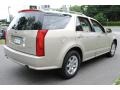 Gold Mist - SRX V6 Photo No. 6