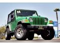 2004 Electric Lime Green Pearl Jeep Wrangler SE 4x4 #66122670