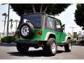 2004 Electric Lime Green Pearl Jeep Wrangler SE 4x4  photo #6