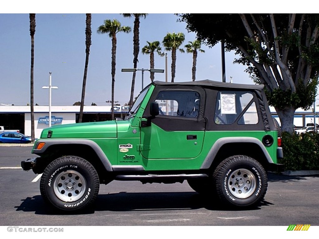 2004 Wrangler SE 4x4 - Electric Lime Green Pearl / Dark Slate Gray photo #10