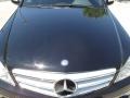 Black - C 300 Luxury Photo No. 11