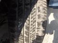 Tropical Sea Metallic - Venza I4 Photo No. 17