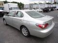 Millennium Silver Metallic - ES 300 Photo No. 2