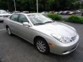 Millennium Silver Metallic - ES 300 Photo No. 6