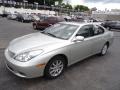 Millennium Silver Metallic - ES 300 Photo No. 8