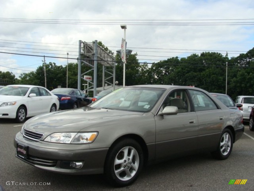 2001 ES 300 - Graphite Gray Metallic / Ivory photo #3
