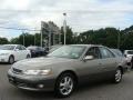 Graphite Gray Metallic - ES 300 Photo No. 3