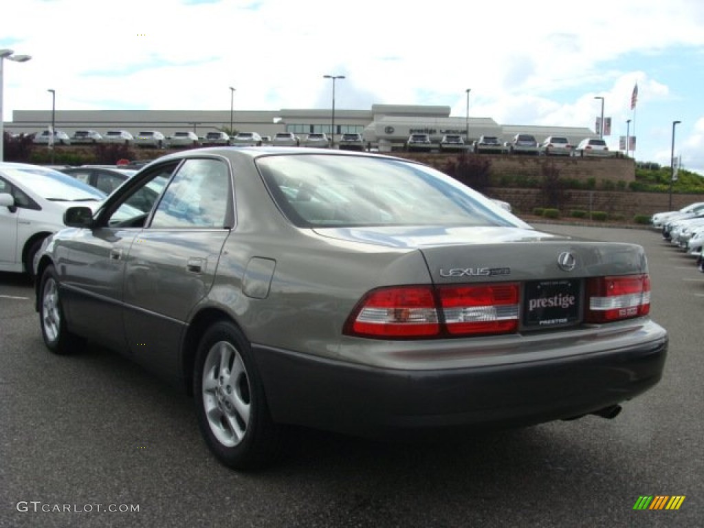 2001 ES 300 - Graphite Gray Metallic / Ivory photo #4