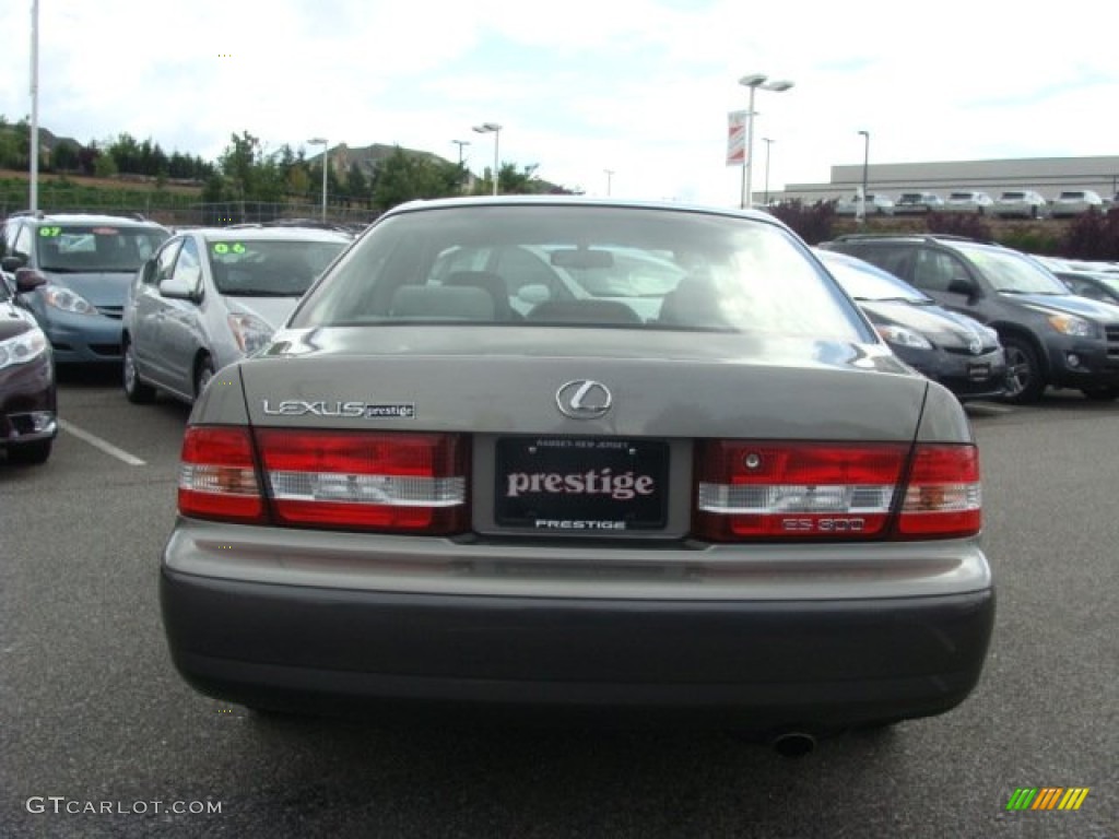 2001 ES 300 - Graphite Gray Metallic / Ivory photo #5