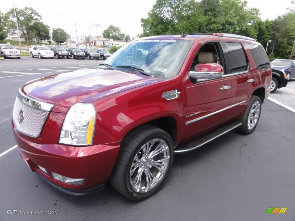 Infrared 2010 Cadillac Escalade Luxury AWD Exterior Photo #66165212