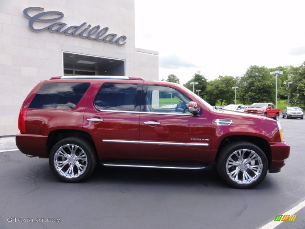 Infrared 2010 Cadillac Escalade Luxury AWD Exterior Photo #66165257