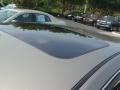 Pebble Beach Metallic - Altima 2.5 SL Photo No. 5