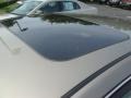 Pebble Beach Metallic - Altima 2.5 SL Photo No. 11