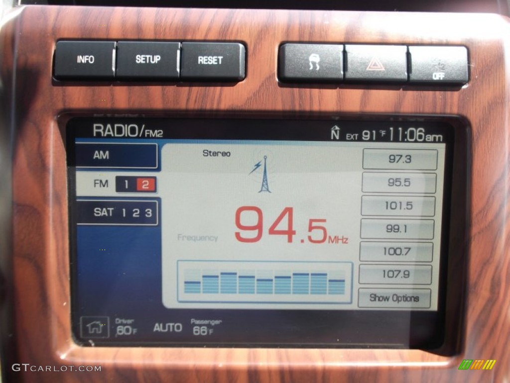 2010 F150 Platinum SuperCrew - Ingot Silver Metallic / Medium Stone Leather/Sienna Brown photo #19