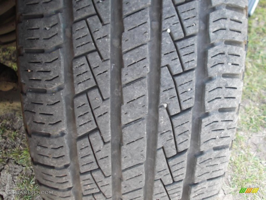 2010 F150 Platinum SuperCrew - Ingot Silver Metallic / Medium Stone Leather/Sienna Brown photo #30