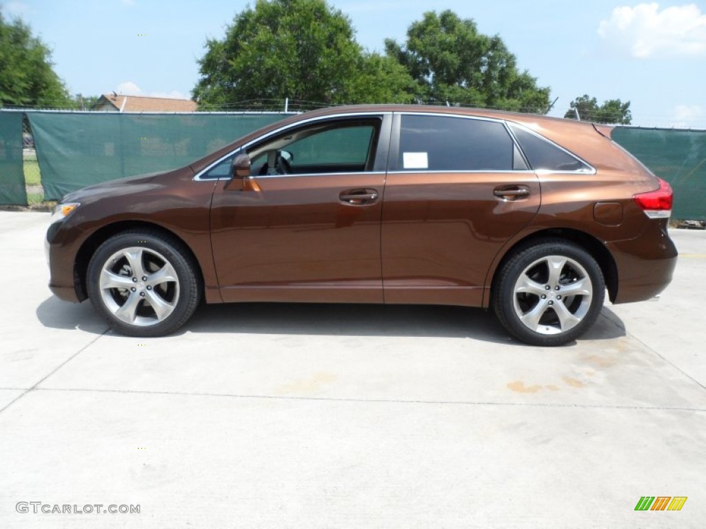 toyota venza sunset bronze mica paint code #2